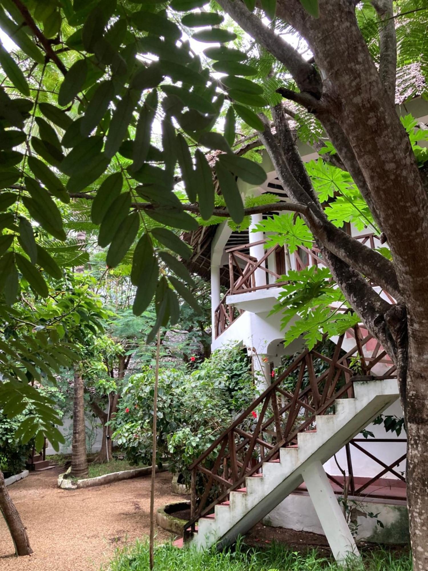 Pasa Lodge Zanzibar Nungwi Esterno foto