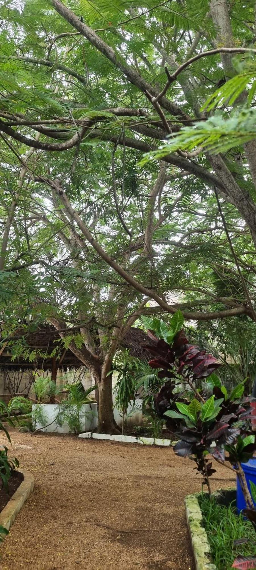 Pasa Lodge Zanzibar Nungwi Esterno foto